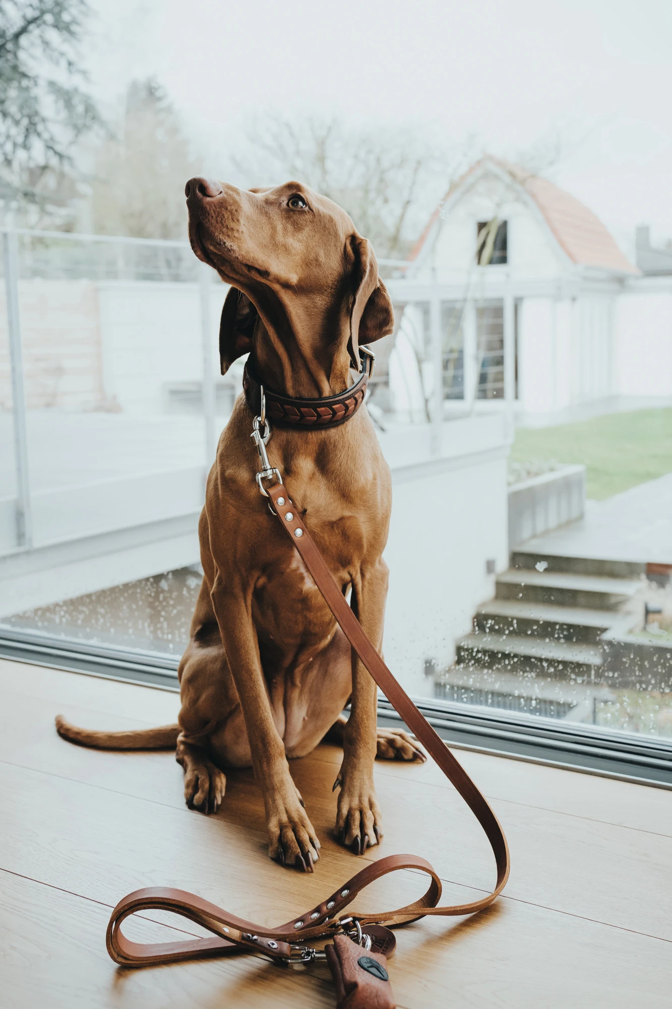 Hunter Aalborg Hundesnor Cognac 16/200
